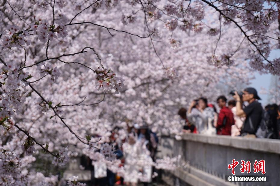 2022年度國家知識產(chǎn)權(quán)示范、優(yōu)勢企業(yè)名單出爐 41家濟企入選知識