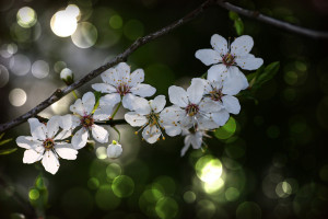 廣東電網(wǎng)探索應(yīng)用智能變電站二次回路及網(wǎng)絡(luò)可視化監(jiān)管技術(shù)