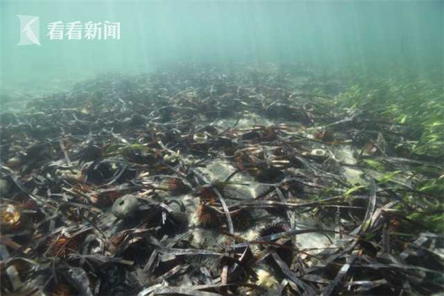 國網特高壓公司深入實施土建質量提升專項活動