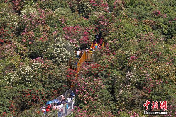 首都電力交易中心調整2022年5-12月偏差調節系數