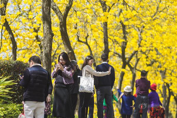國金證券最新行業分析：燃料電池今年全面爆發！