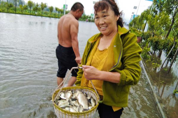 俄土專家探討在土耳其建天然氣供應樞紐