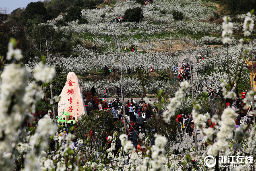[博海拾貝1024]貓貓只想幫你控制體重