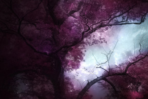 【普法】簽訂合同，干活容易討薪更易