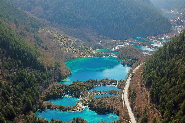 山東2021高考分數線公布 普通類一段線444分、二段線150分