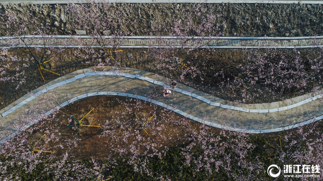 基于廣東省的中國電力市場改革研究