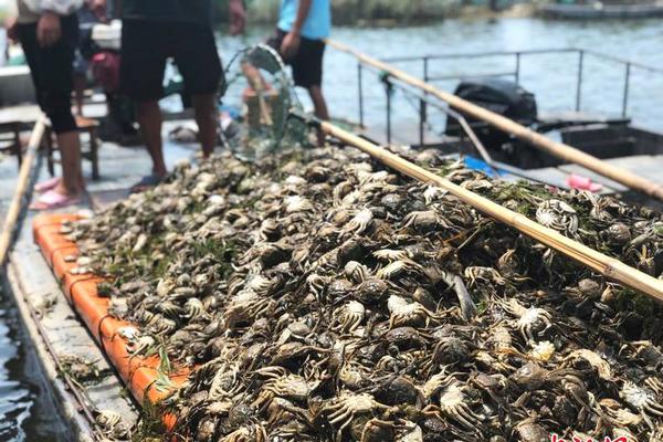 國網江蘇供應商不良行為處理情況的通報（2022年1月）