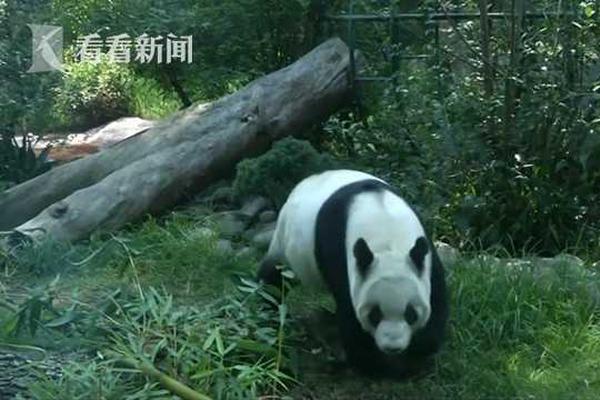遠(yuǎn)光軟件大數(shù)據(jù)產(chǎn)品入選2017年廣東省高新技術(shù)產(chǎn)品 助力數(shù)字化創(chuàng)新