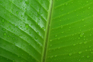 國網(wǎng)西北分部做好穩(wěn)外送電力交易工作