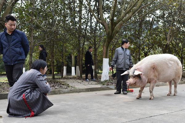 喜茶奈雪，為什么抵制“外賣滿減”？