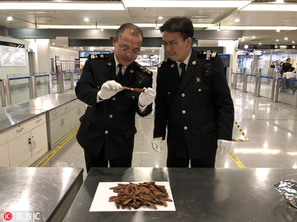 區(qū)塊鏈技術(shù)將為能源供給結(jié)構(gòu)改革帶來的新曙光