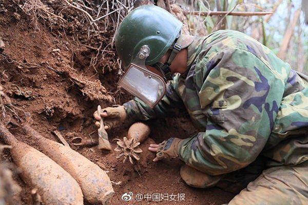 2021年11月份江蘇電力集中競價交易公告