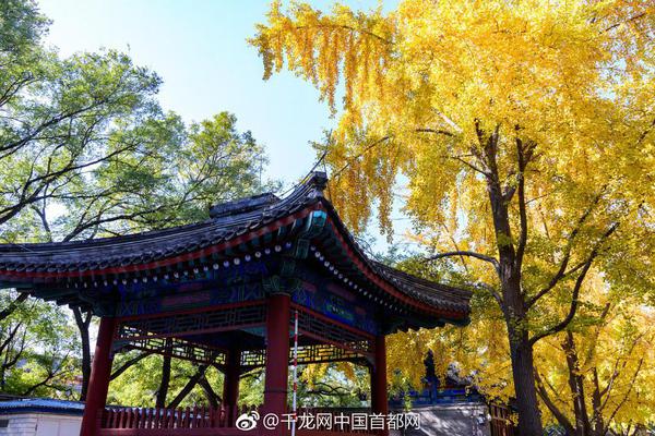 國網冀北電力增值稅電子專票系統投用