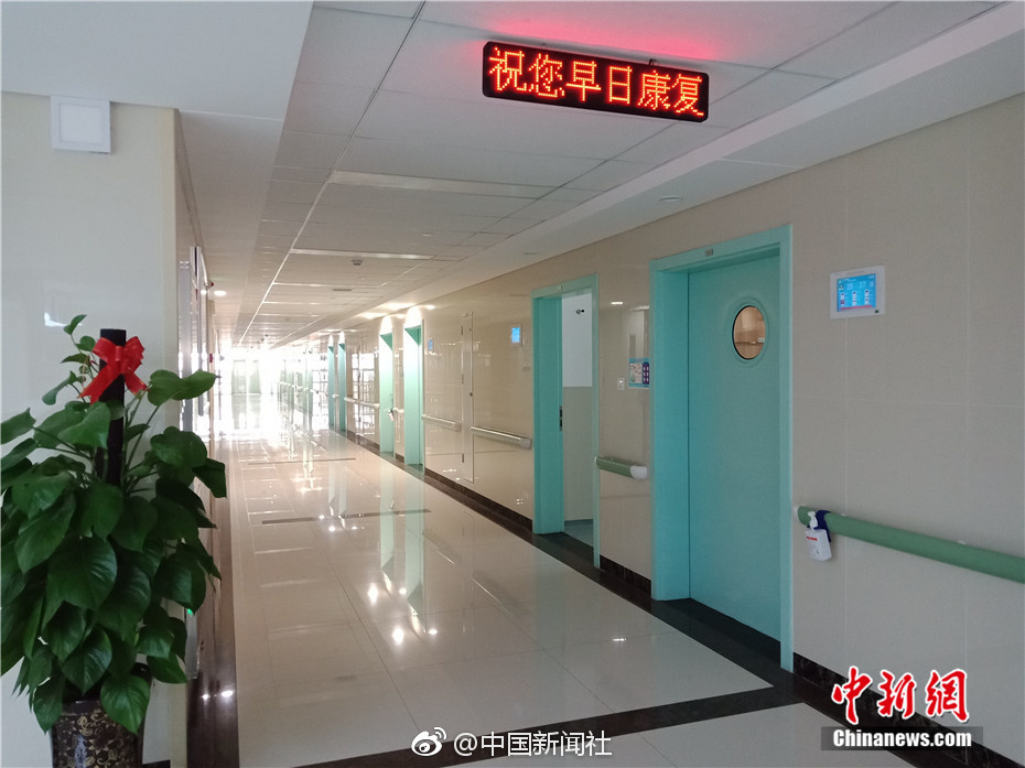 烏新總統:俄用護照誘烏公民是浪費時間