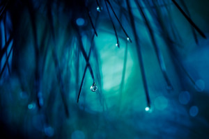濟(jì)南已普降暴雨到大暴雨 今明仍降雨不斷 斷崖式降溫即將來襲