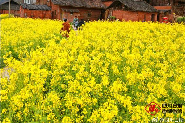 百貨 50 條，全部是實用的玩意兒（10.25）