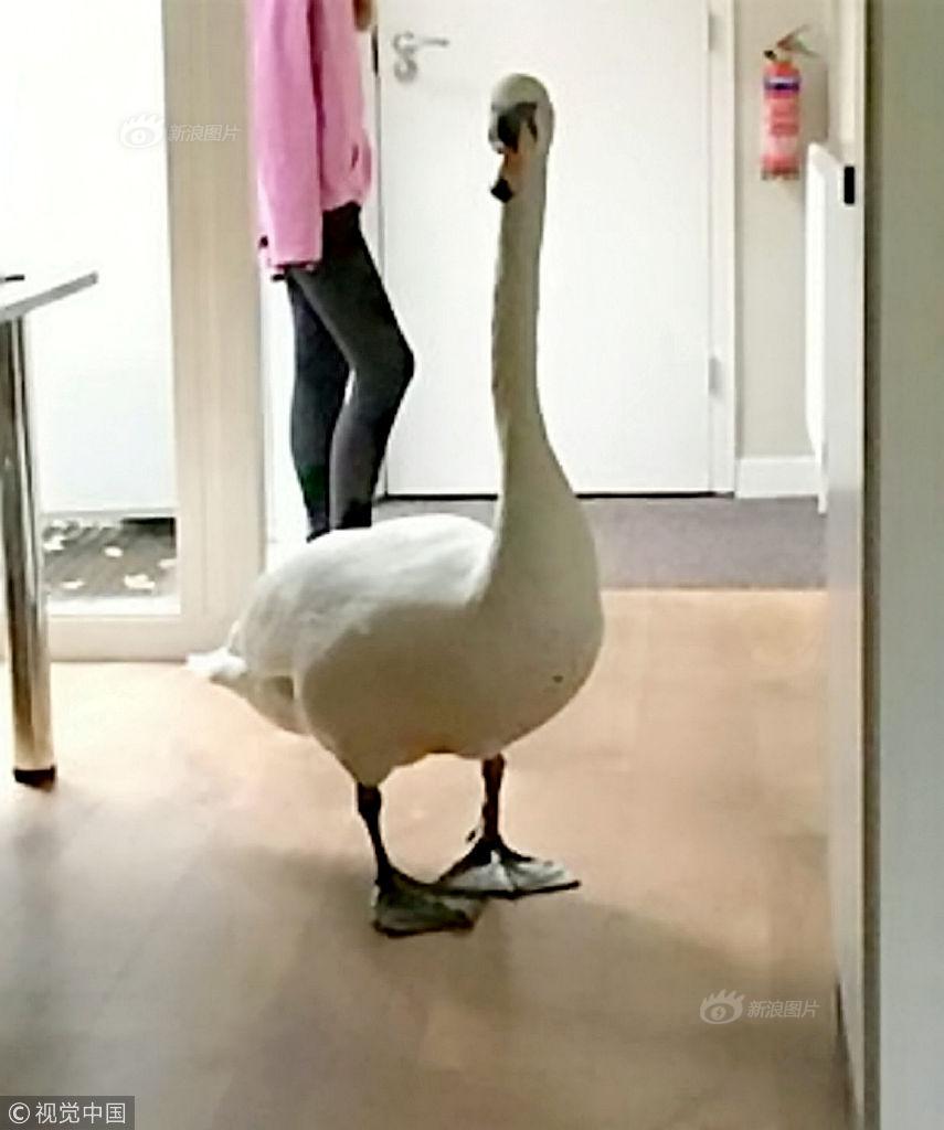 百貨 50 條，全部是實用的玩意兒（07.30）