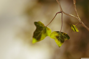 我國深水油氣開發(fā)關(guān)鍵技術(shù)裝備取得突破
