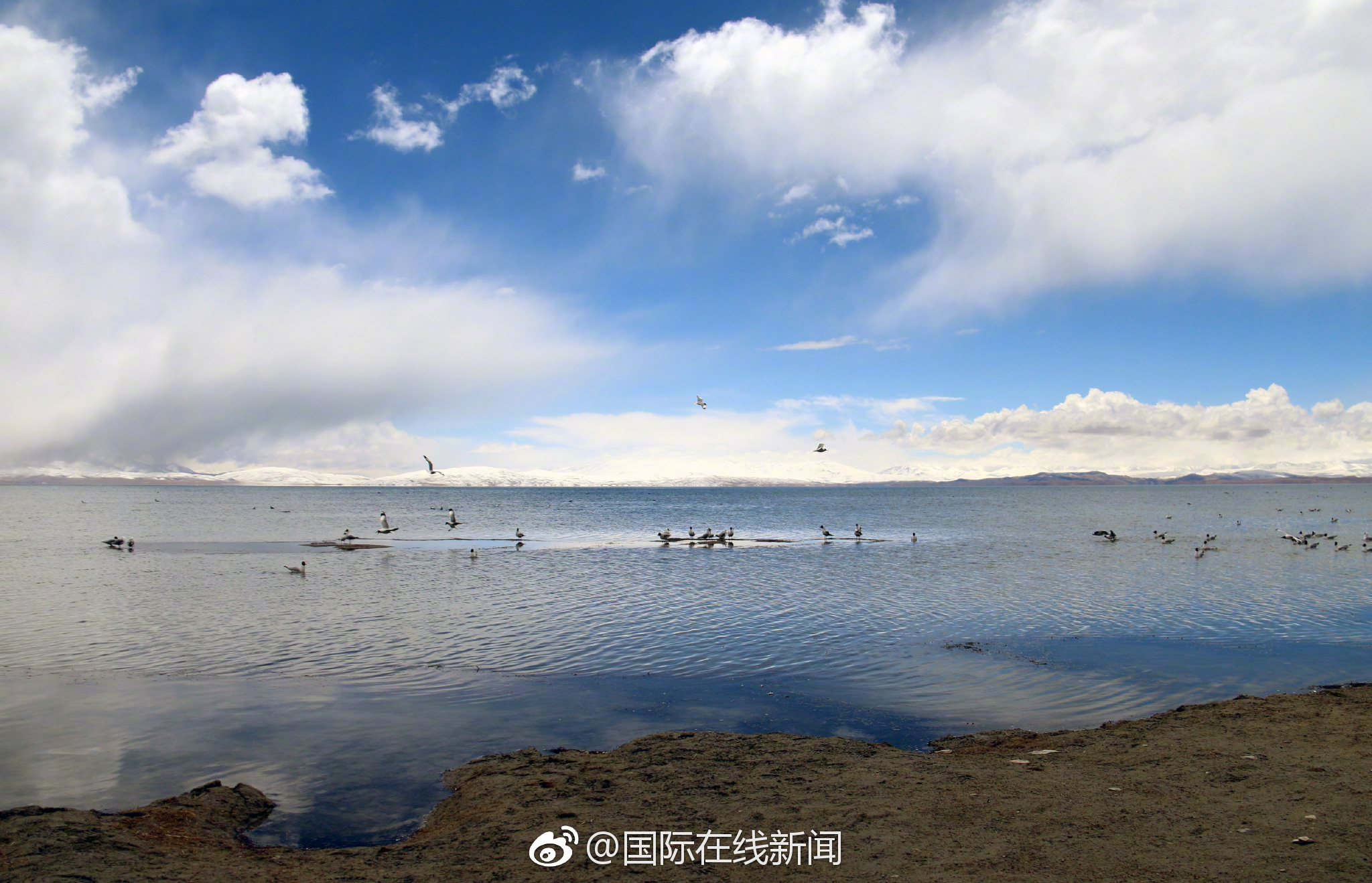 在黃河大集，感受全新的&ldquo;