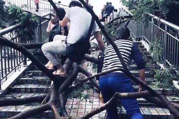 從港女十八式到姐姐好颯，香港女權的崛起與變遷