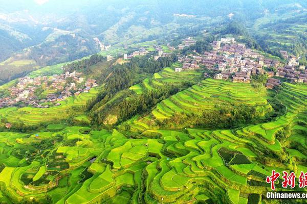 山東高招錄取工作意見出爐 藝術類多個專業本科文化控制線提升