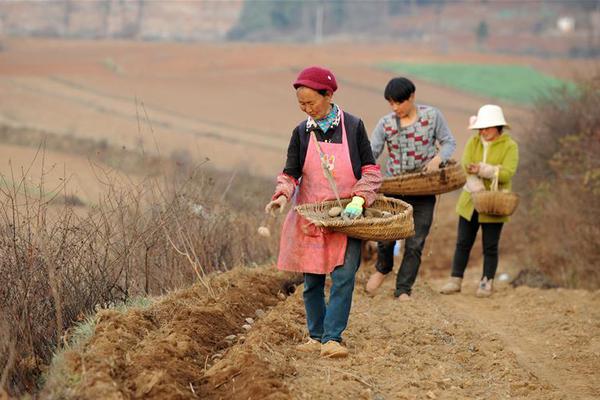 交易均價再度上漲 湖南2021年11月電力市場交易結果出爐