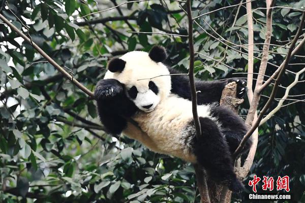 馬蓉談離婚:事后王寶強說還愛我